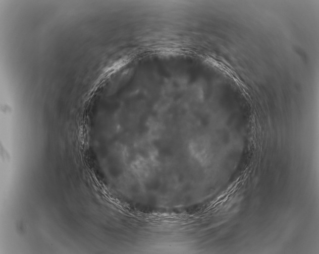 X0000091091207200708061630