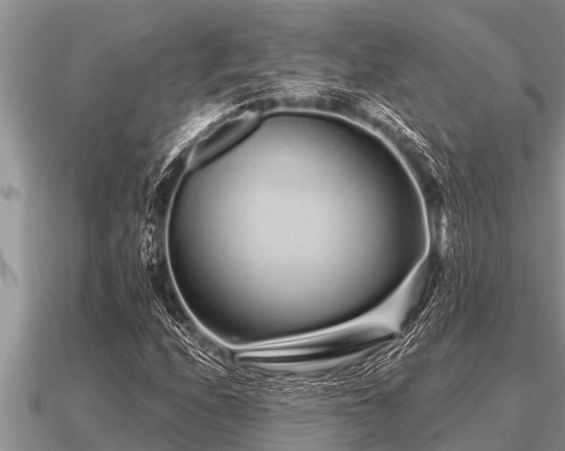 X0000091091208200708061630