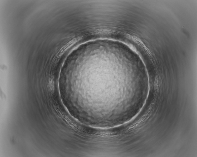 X0000091091209200708061630