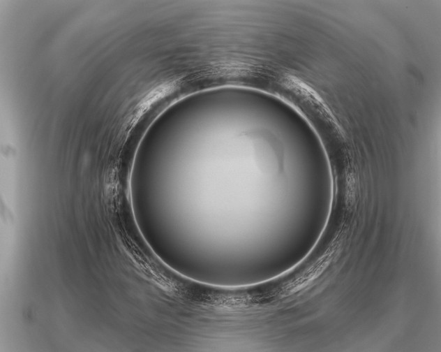 X0000091091210200708061630