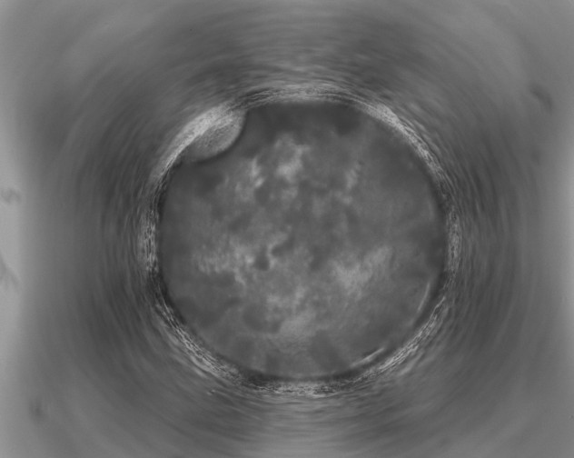 X0000091091211200708061630