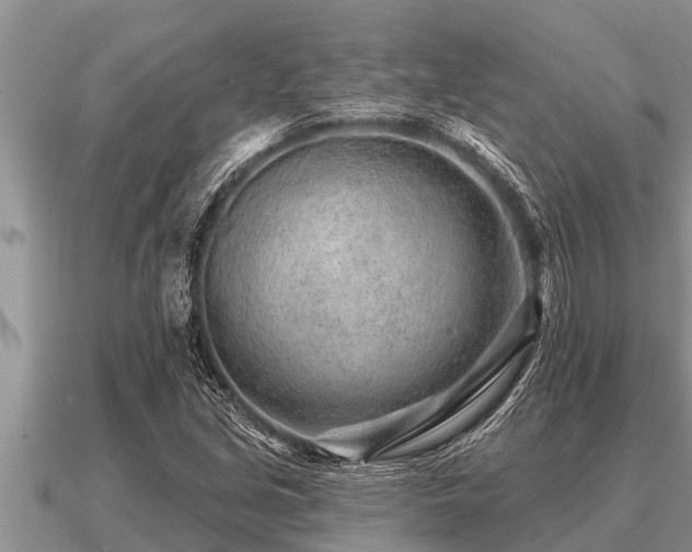 X0000091091213200708061630