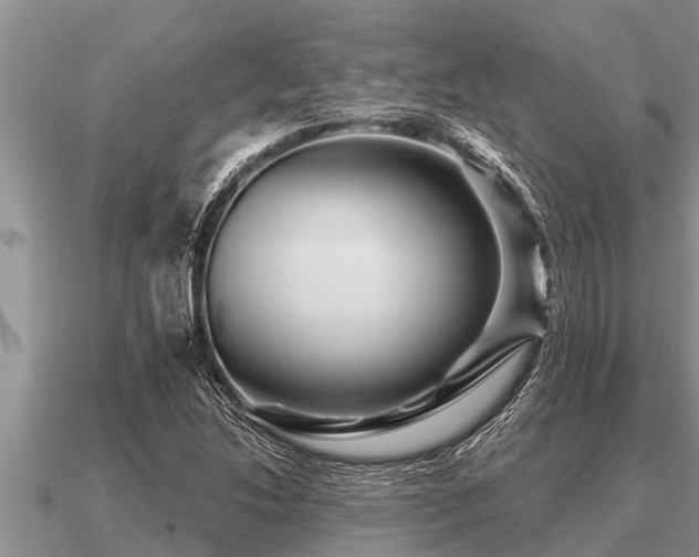 X0000091091214200708061630
