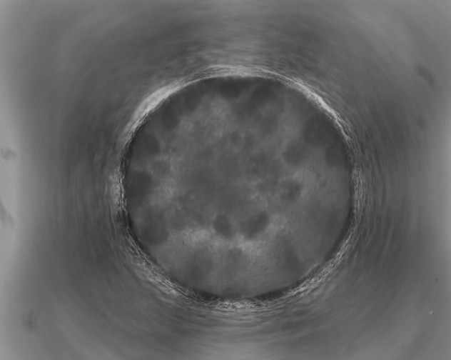 X0000091091215200708061630