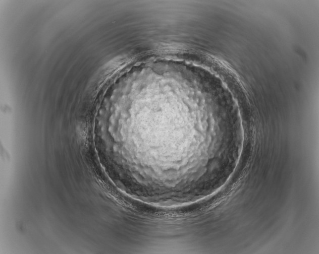 X0000091091217200708061630