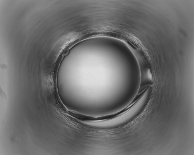 X0000091091218200708061630