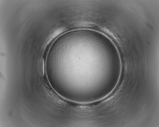 X0000091091219200708061630