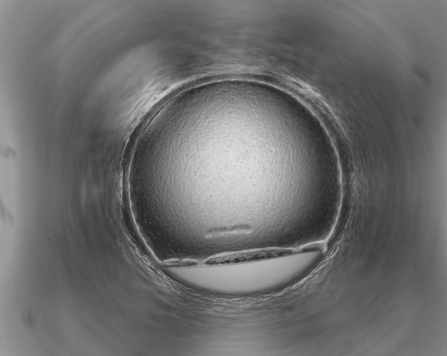 X0000091091220200708061630