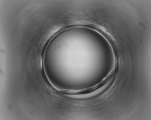 X0000091091221200708061630