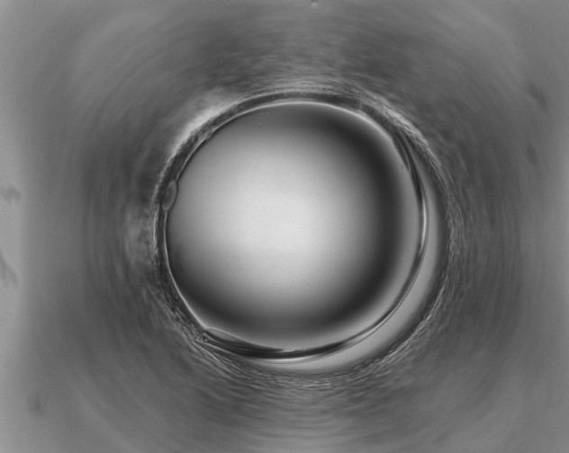 X0000091091222200708061630