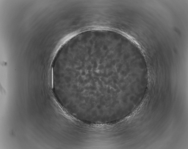 X0000091091223200708061630