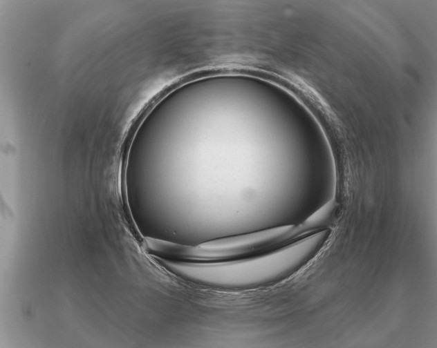 X0000091091224200708061630