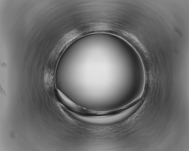 X0000091091225200708061630