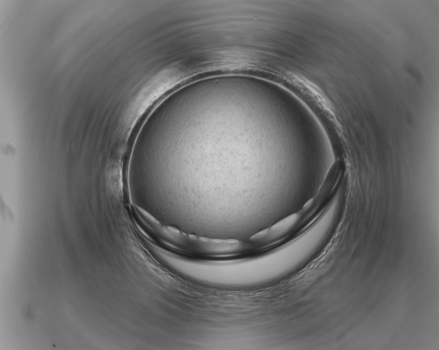 X0000091091226200708061630