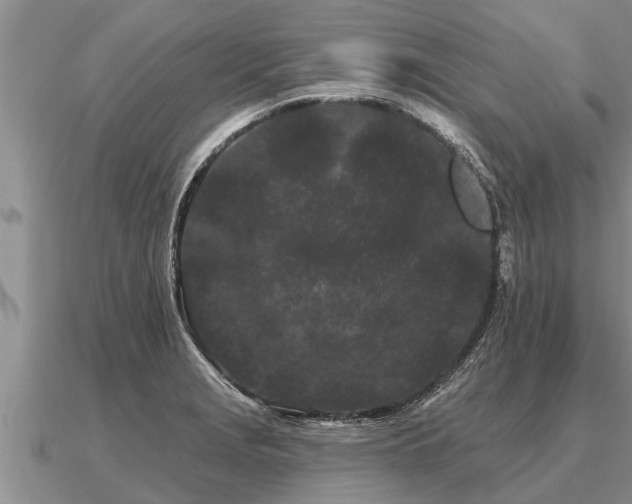 X0000091091229200708061630