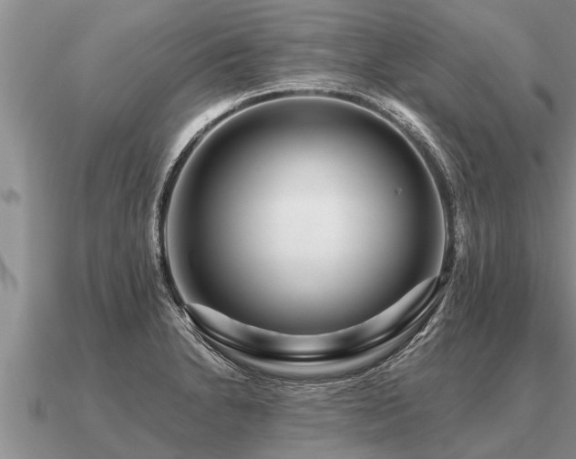 X0000091091230200708061630
