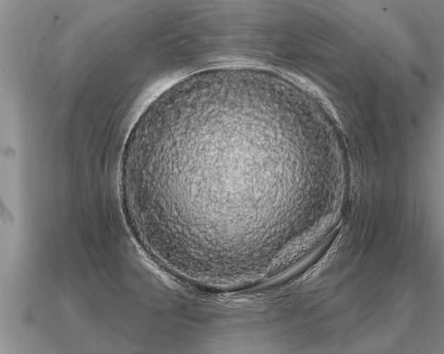 X0000091091231200708061630