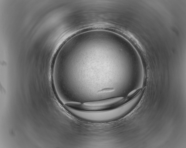 X0000091091232200708061630
