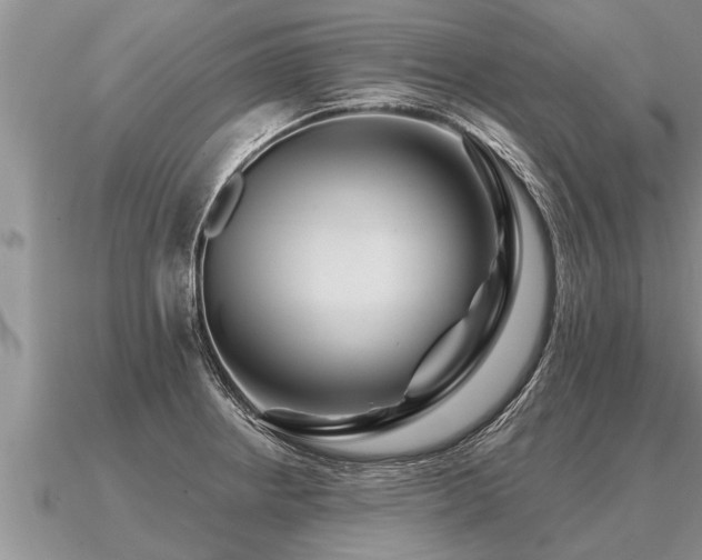 X0000091091234200708061630