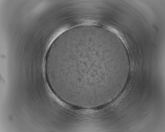 X0000091091235200708061630