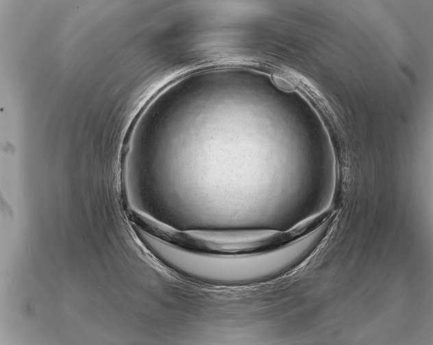 X0000091091236200708061630
