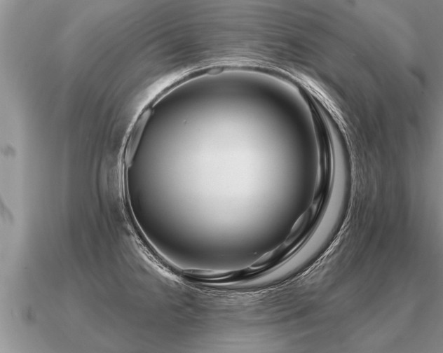 X0000091091238200708061630