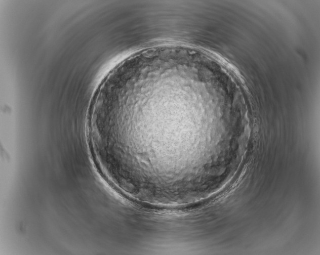 X0000091091239200708061630