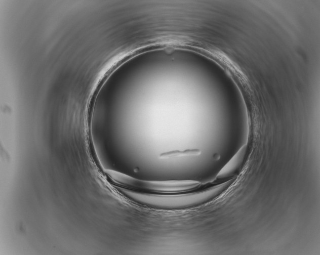 X0000091091240200708061630