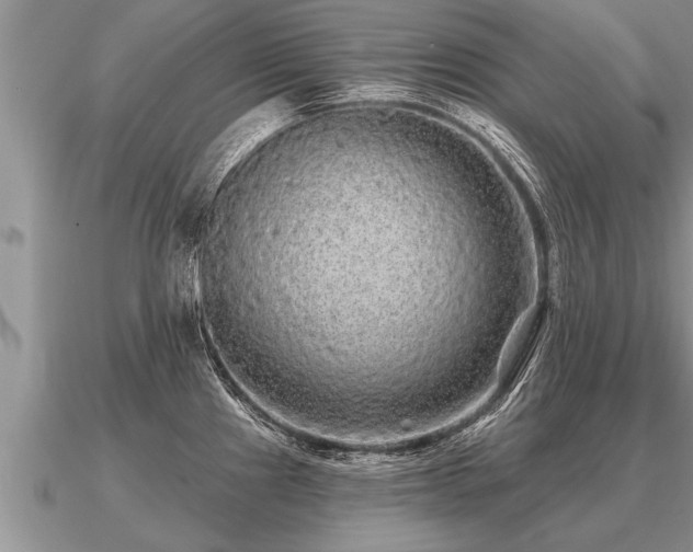 X0000091091241200708061630