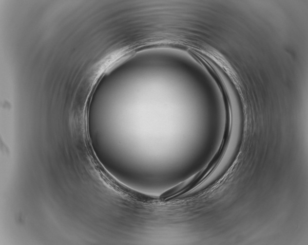 X0000091091242200708061630