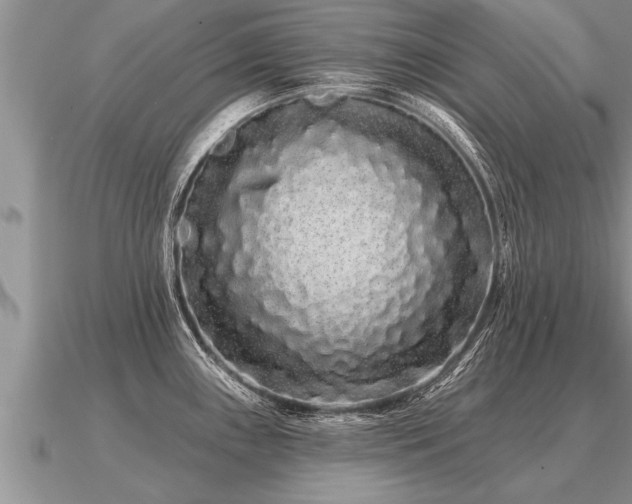 X0000091091243200708061630
