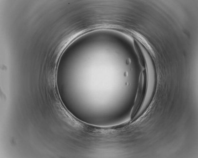 X0000091091244200708061630