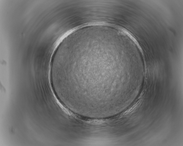 X0000091091245200708061630