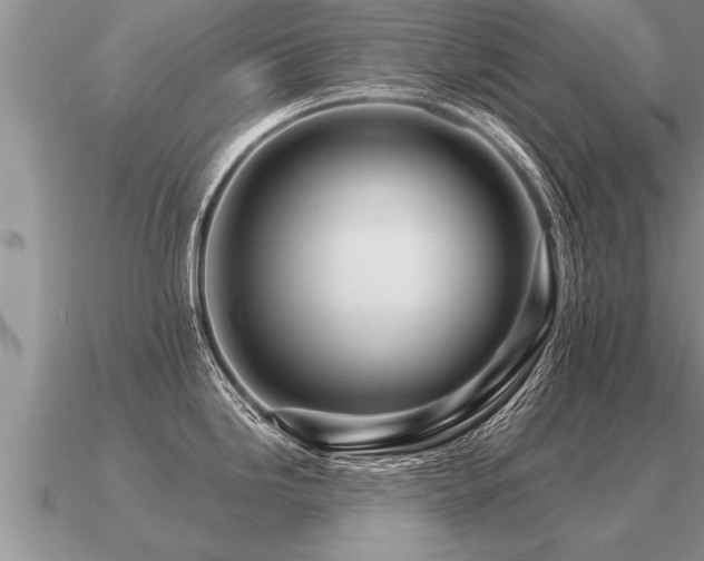 X0000091091246200708061630
