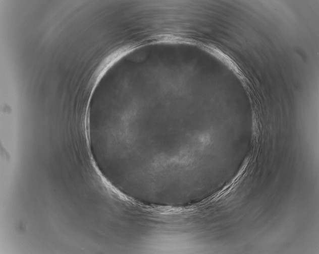 X0000091091247200708061630