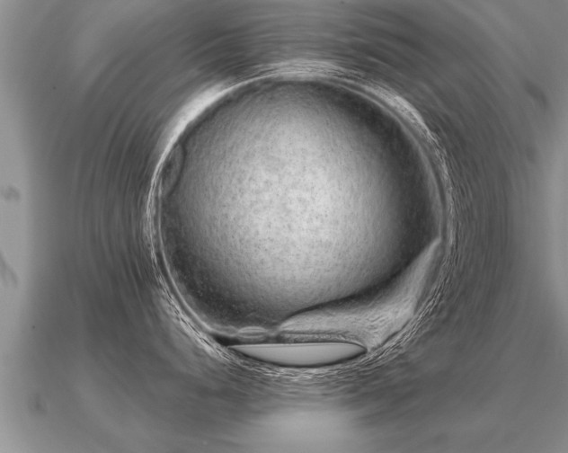 X0000091091248200708061630