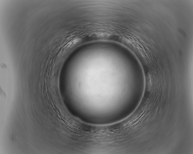 X0000091091249200708061630