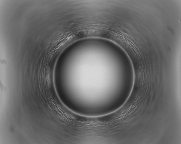 X0000091091250200708061630