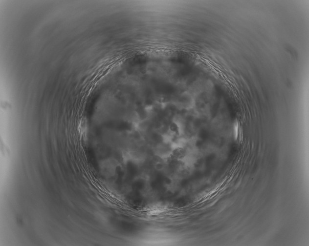 X0000091091251200708061629
