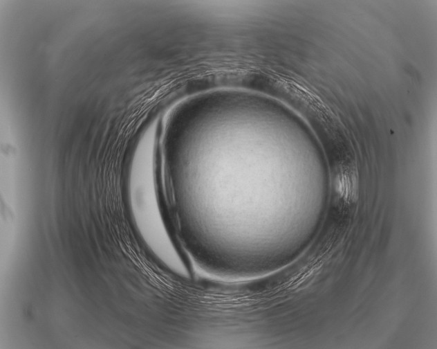 X0000091091252200708061629