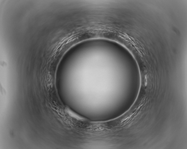X0000091091253200708061629