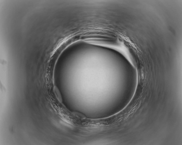 X0000091091256200708061629