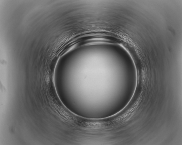 X0000091091257200708061629