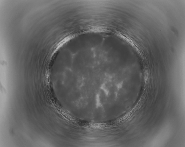 X0000091091258200708061629