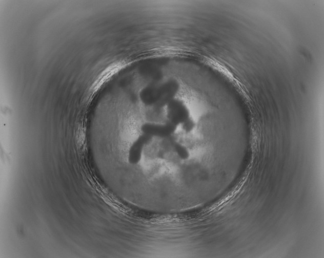 X0000091091259200708061629