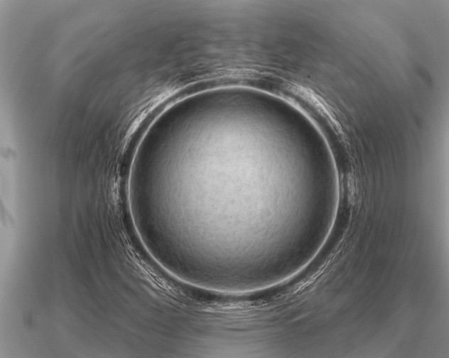 X0000091091260200708061629