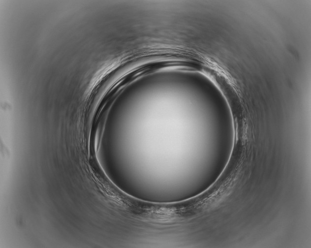 X0000091091261200708061629