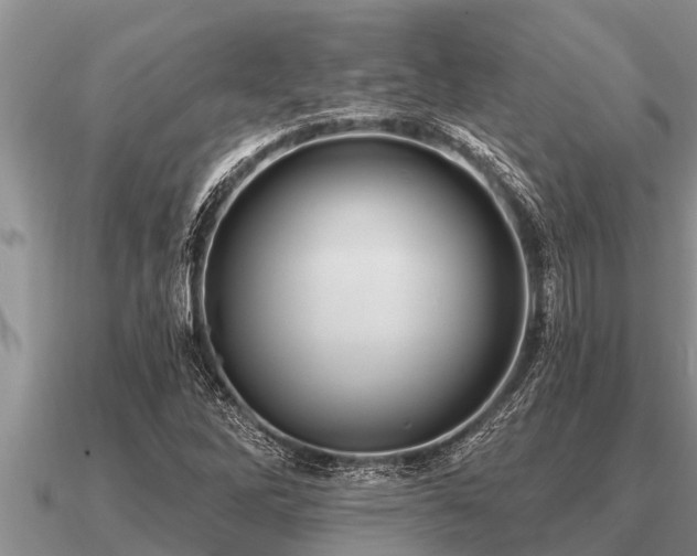 X0000091091262200708061629