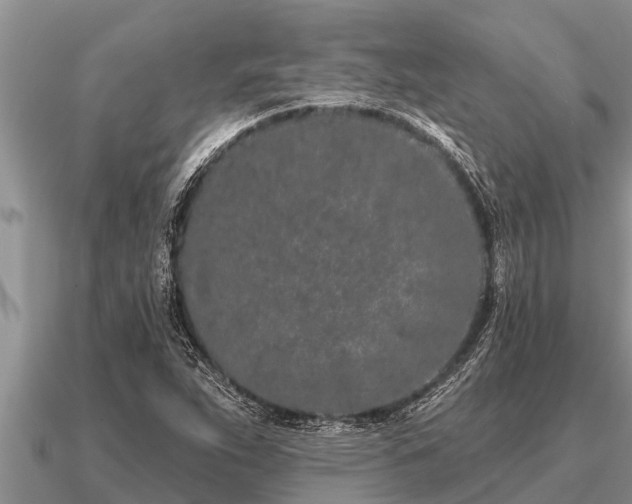 X0000091091263200708061629