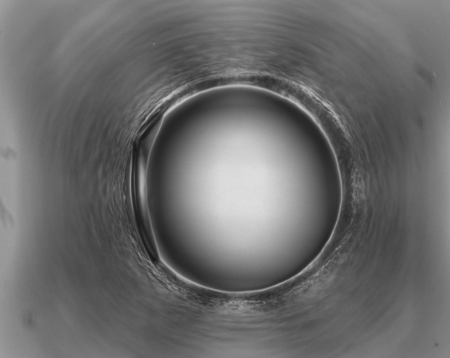 X0000091091265200708061629